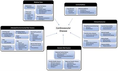 Correlation Analysis of Variables From the Atherosclerosis Risk in Communities Study